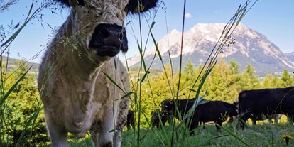 Urlaub auf dem Bauernhof - Mithilfe beim: Tiere füttern - Steiermark - Lutzmannhof